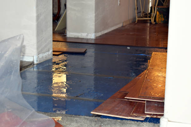 Professional Flood Damage Cleanup technician working in Attica, OH
